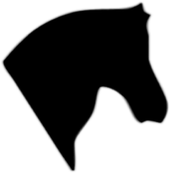 (42) Prägemotiv Pferdekopf