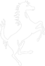 (67a) Pferd weiß