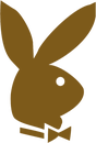 (78c) Hase gold rechts
